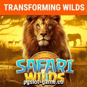Safari Wilds ทดลองเล่นสล็อต PG SLOT เกมใหม่ เล่นได้เงินเยอะ